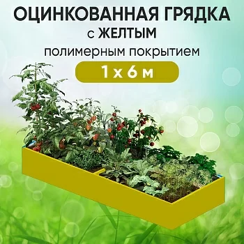 Грядка желтая (1 х 6)